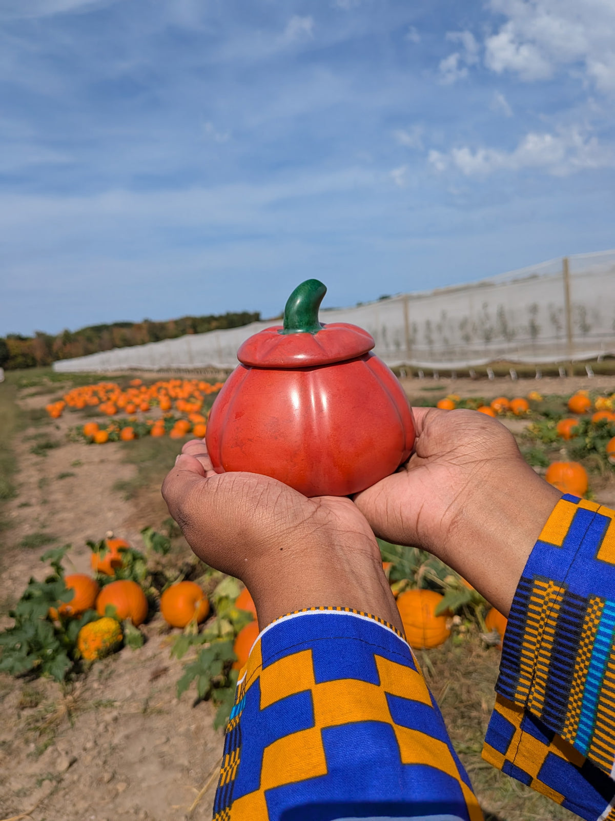 Kenyan Soapstone Pumpkin Treasure Box
