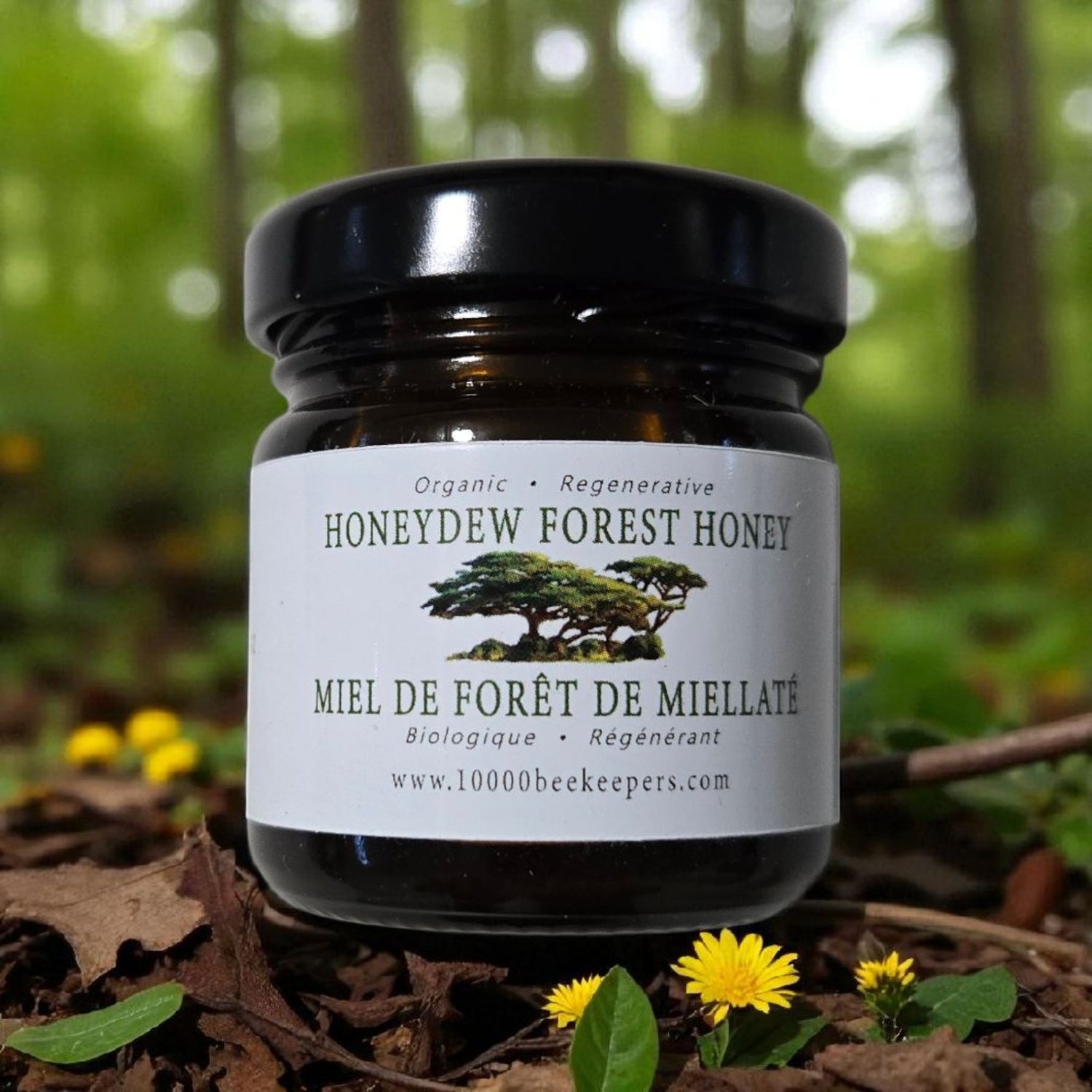 Mini Honeydew Forest Honey